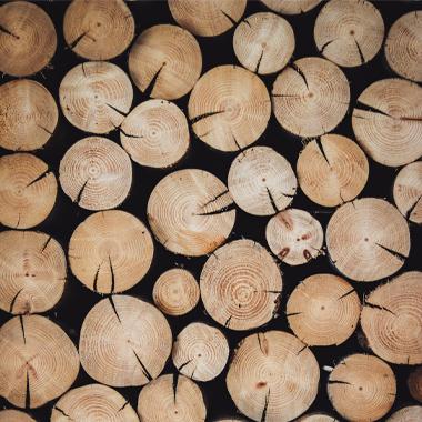 Pourquoi le bois de charpente est-il si cher ?